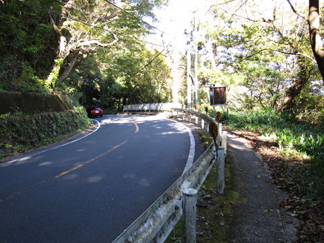 20201105hike (263)